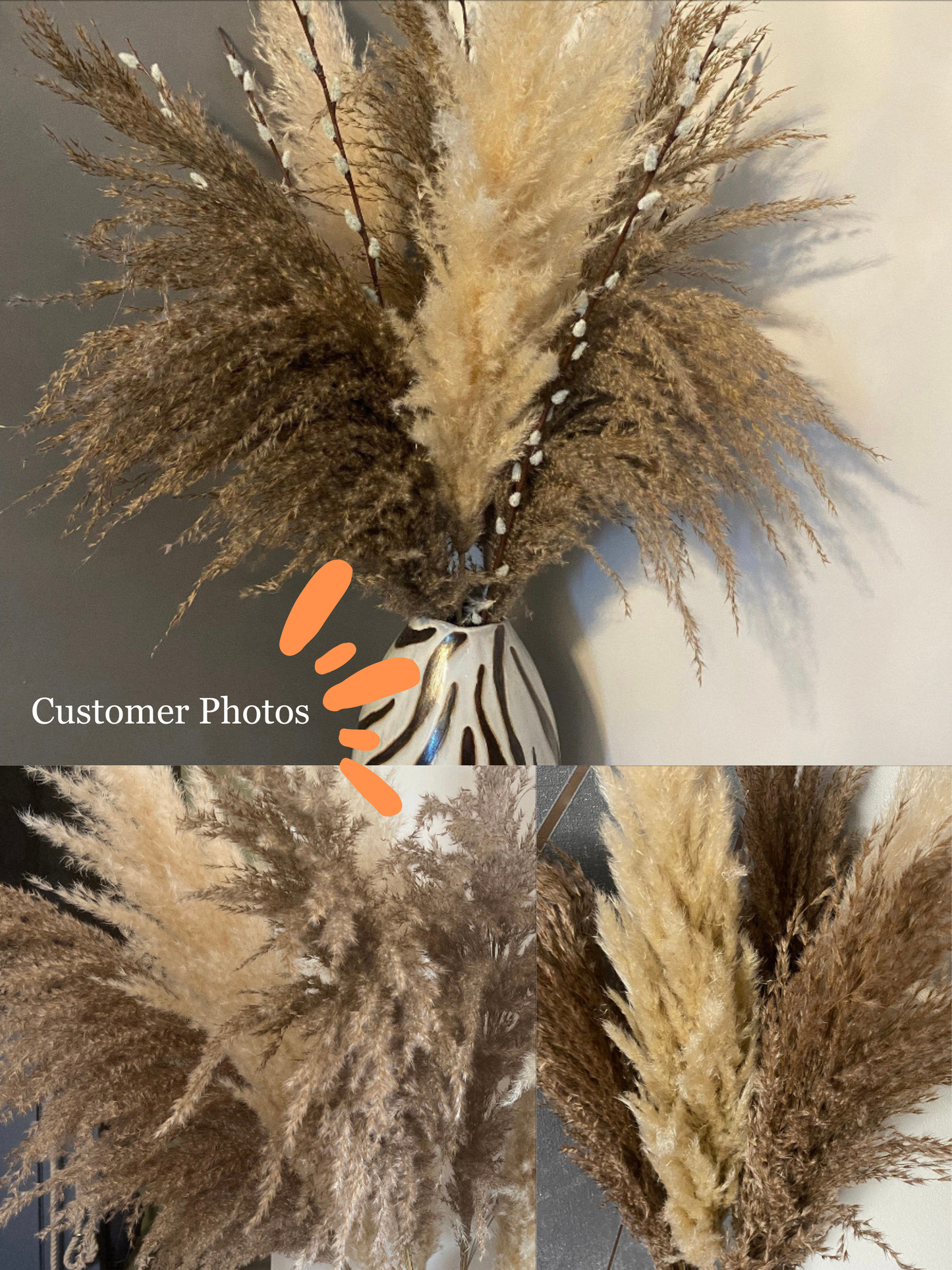 MIXED Bundle of 10 Luxury Fluffy Pampas Grass (5White/5Brown)