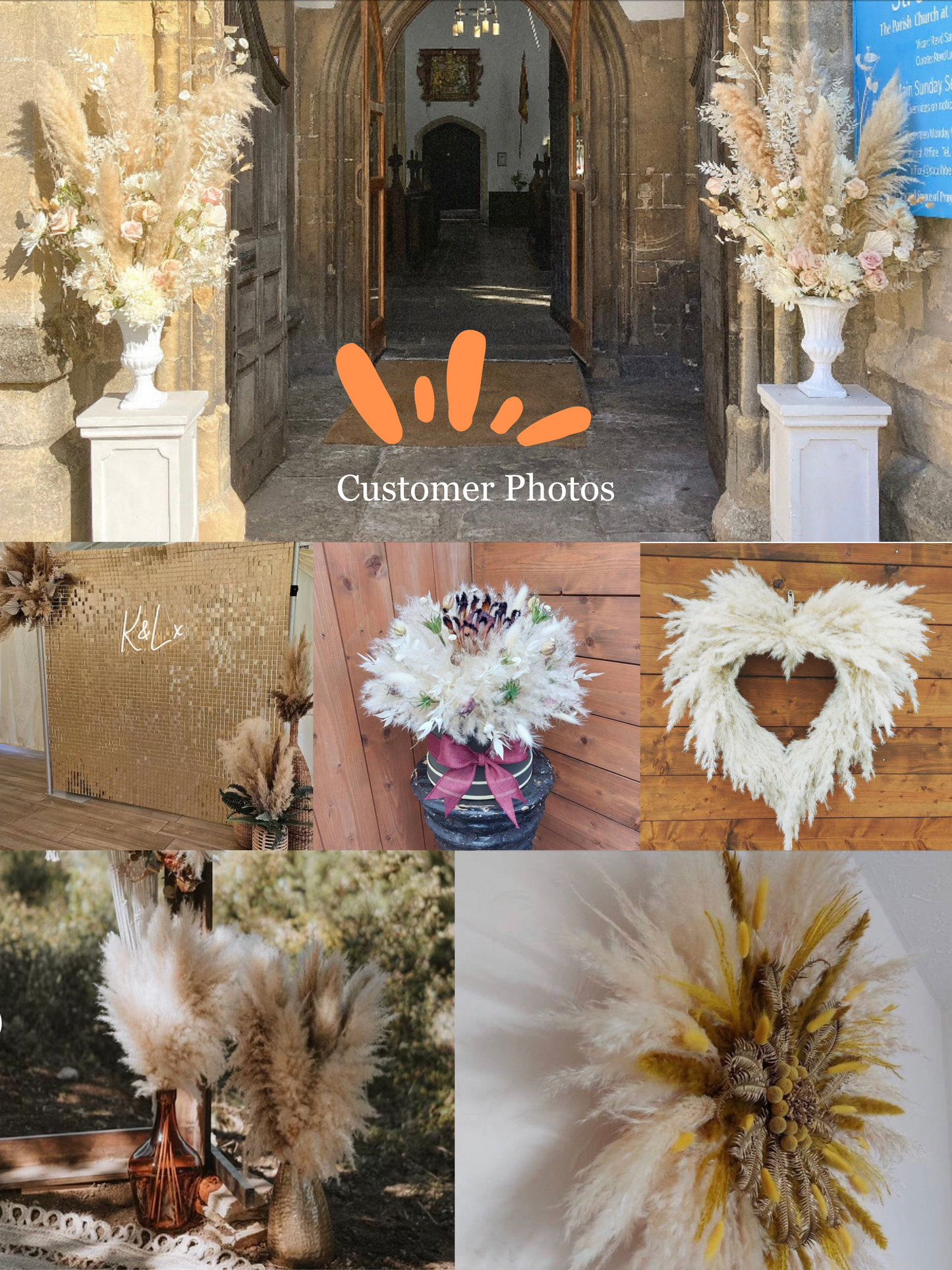 Cornish Pampas Grass – Floristry Pack (25 Stems)