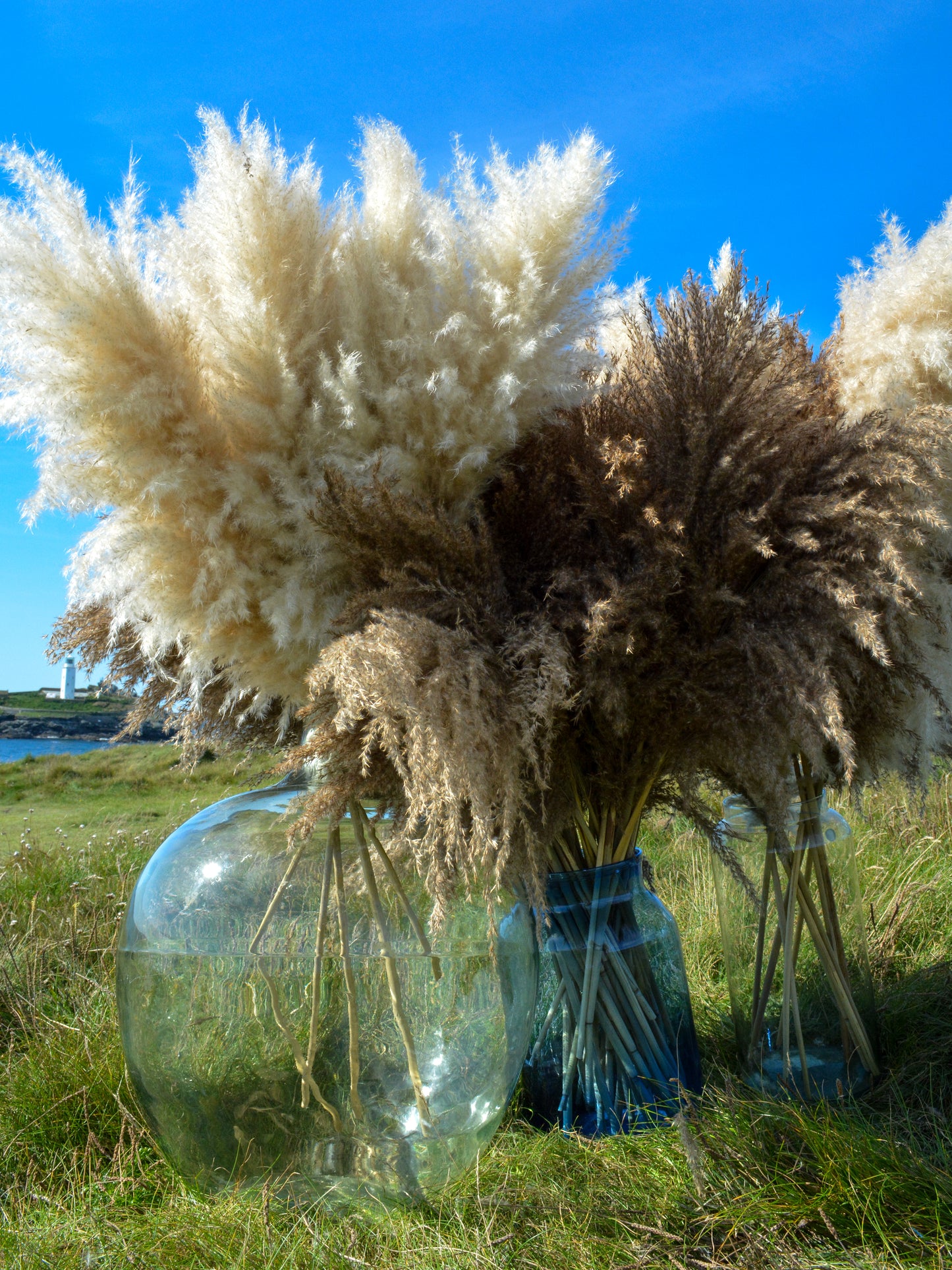 MIXED Bundle of 5 Luxury Fluffy Pampas Grass (3White/2Brown)