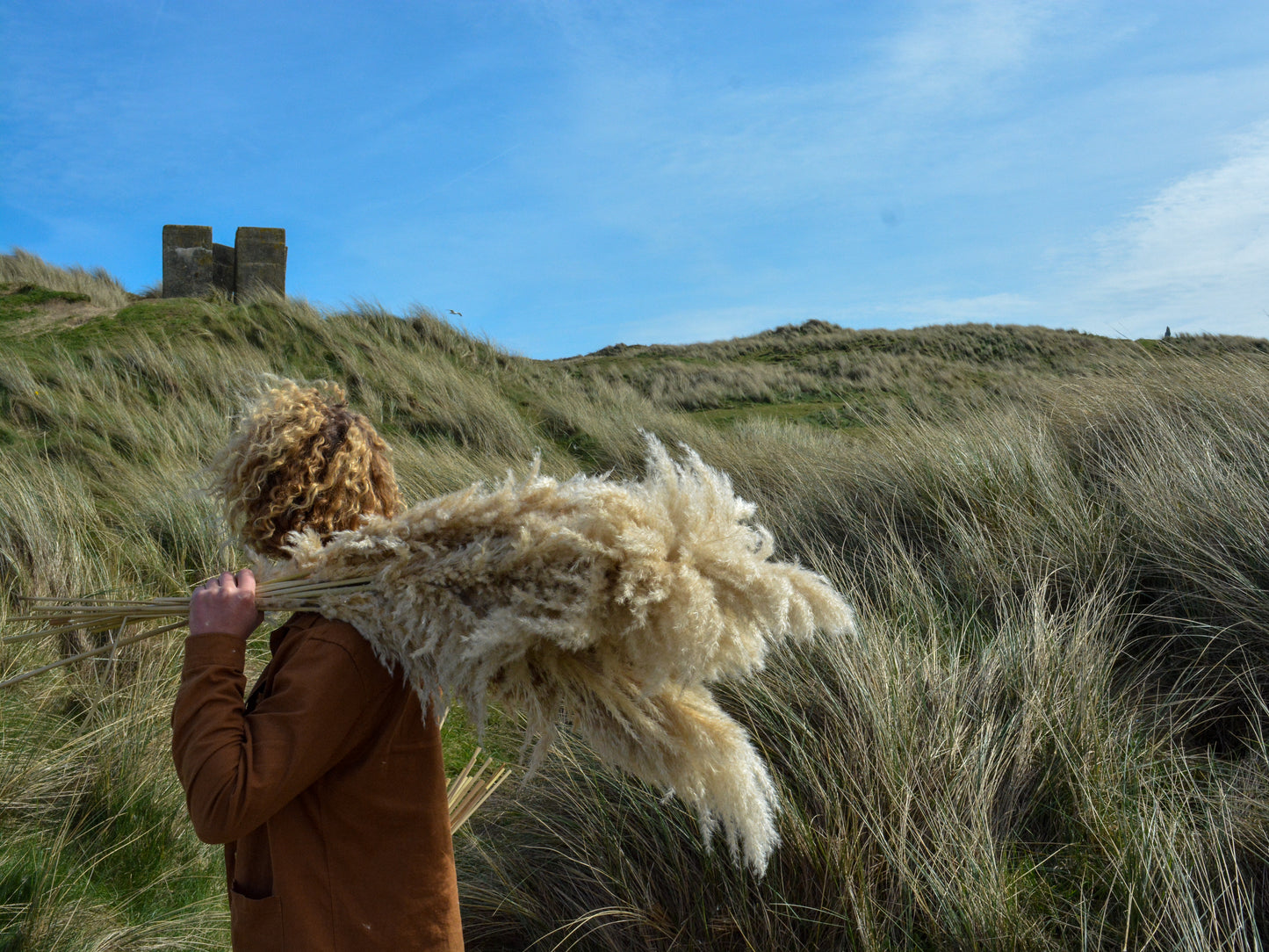 MIXED Bundle of 5 Luxury Fluffy Pampas Grass (3White/2Brown)