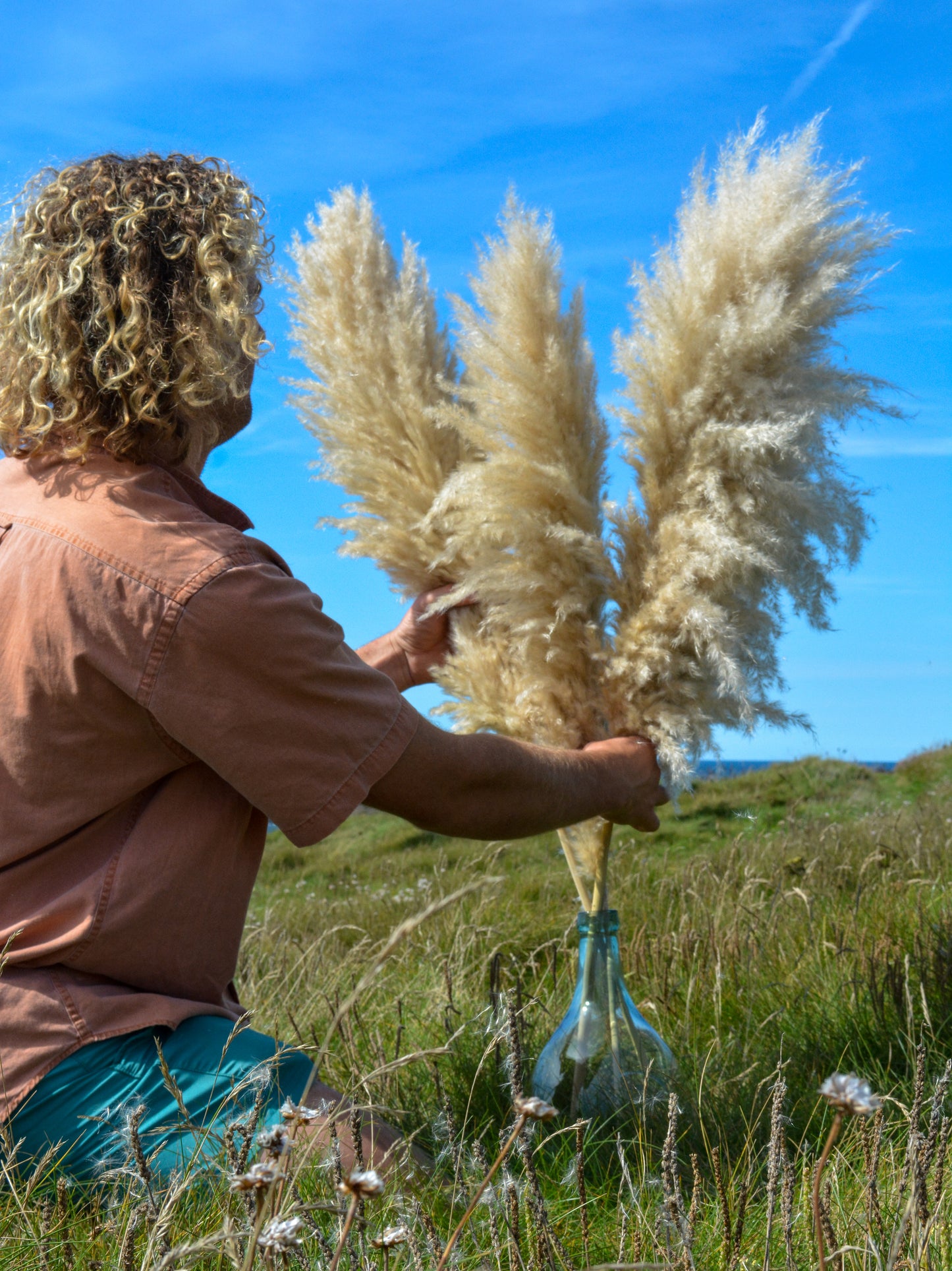 Luxury Large Fluffy Cornish Pampas Grass
