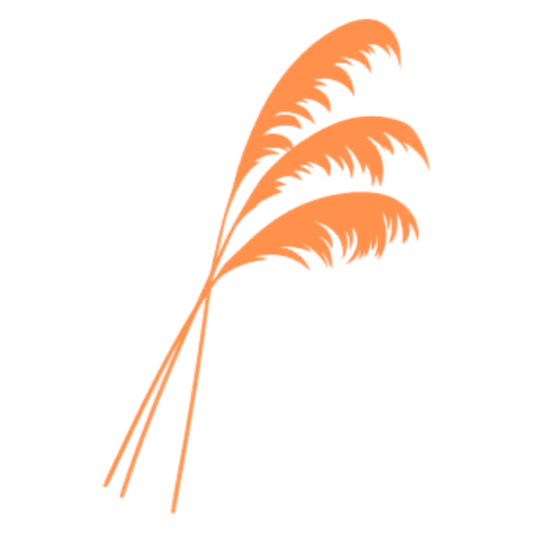 Cornish Pampas