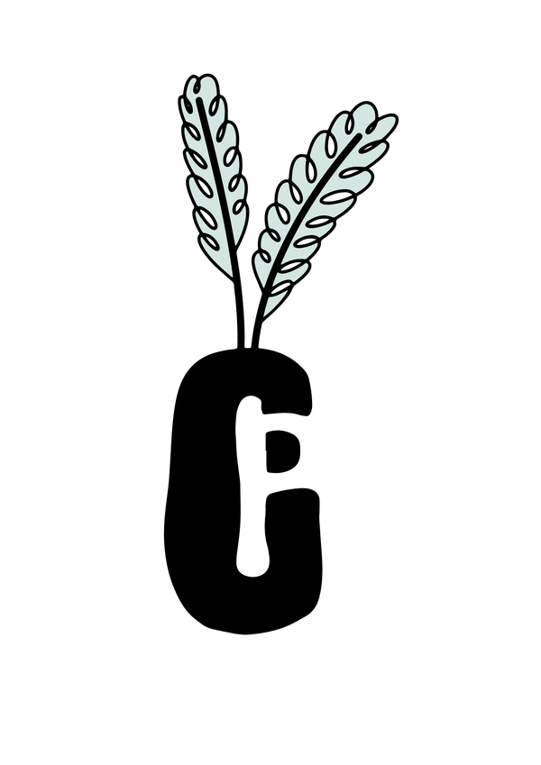 Cornish Pampas